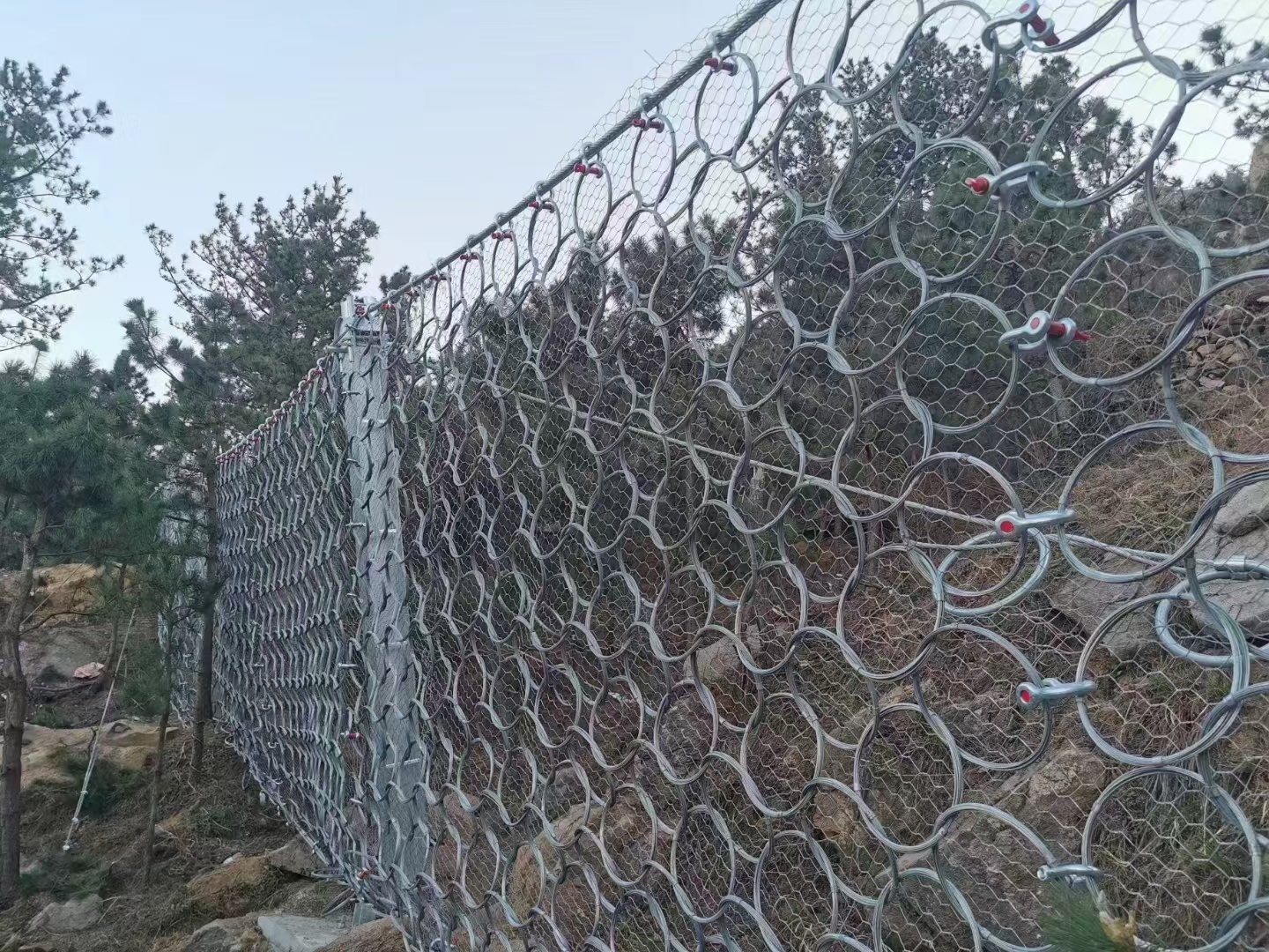 边坡防护网-环形网.jpg