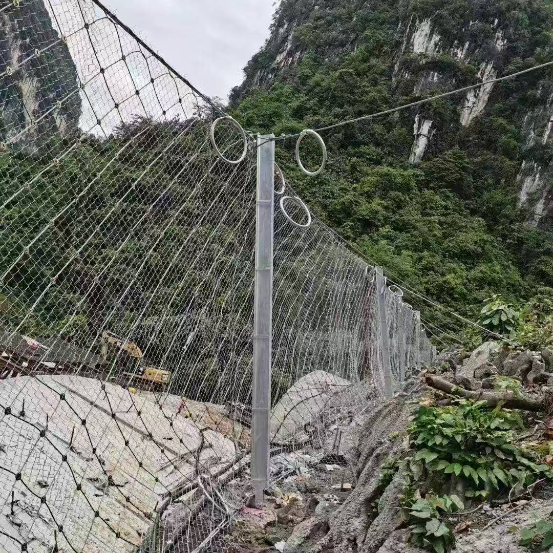 被动网.jpg